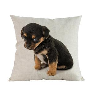 Housse de coussin imprimée Style Animal