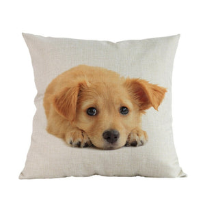 Housse de coussin imprimée Style Animal