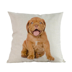 Housse de coussin imprimée Style Animal