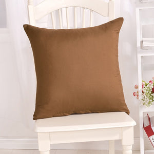 Housse de coussin Simple de couleur unie